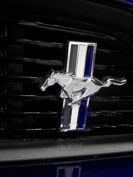 Huge Strange RANDOM Pictures and Idiocy Gallery!*-10014349_787957761232568_1098138445_o.jpg