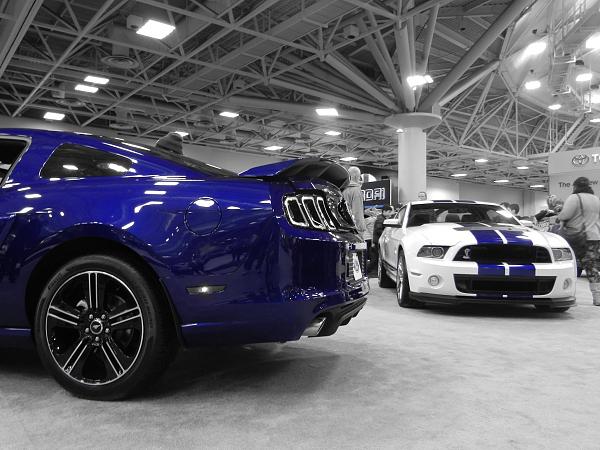 Huge Strange RANDOM Pictures and Idiocy Gallery!*-1911952_787957134565964_2049971260_o.jpg