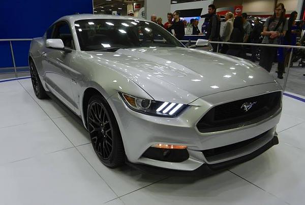 Huge Strange RANDOM Pictures and Idiocy Gallery!*-1961816_787953701232974_1056752745_o.jpg