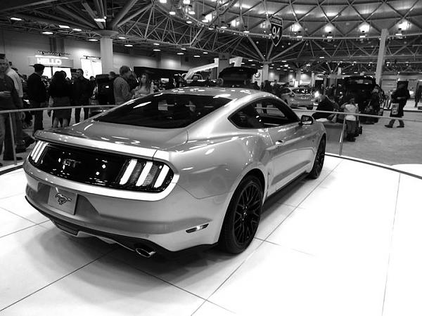 Huge Strange RANDOM Pictures and Idiocy Gallery!*-1799919_787957321232612_441122161_o.jpg