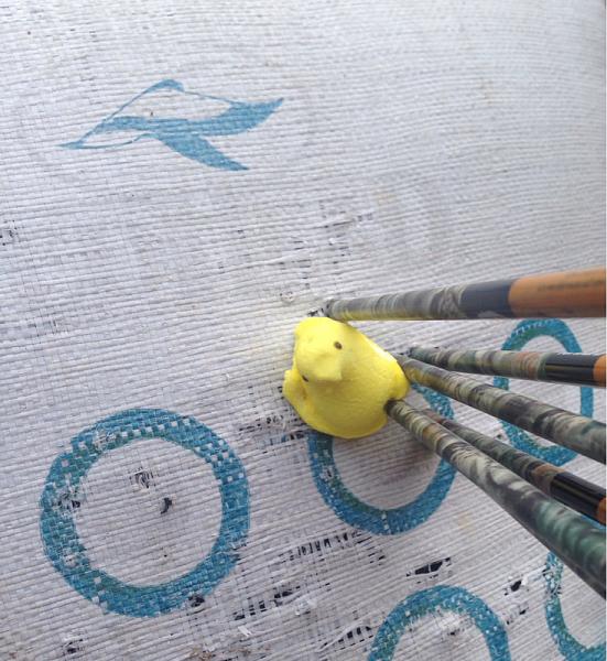 Huge Strange RANDOM Pictures and Idiocy Gallery!*-image-3720555902.jpg