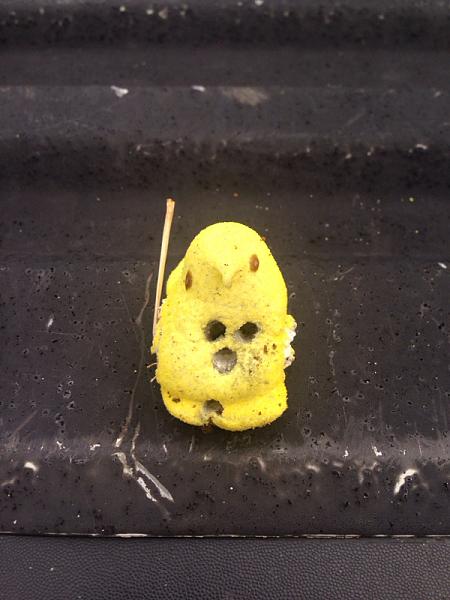 Huge Strange RANDOM Pictures and Idiocy Gallery!*-image-3455722020.jpg