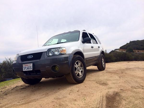 Huge Strange RANDOM Pictures and Idiocy Gallery!*-image-1058706738.jpg