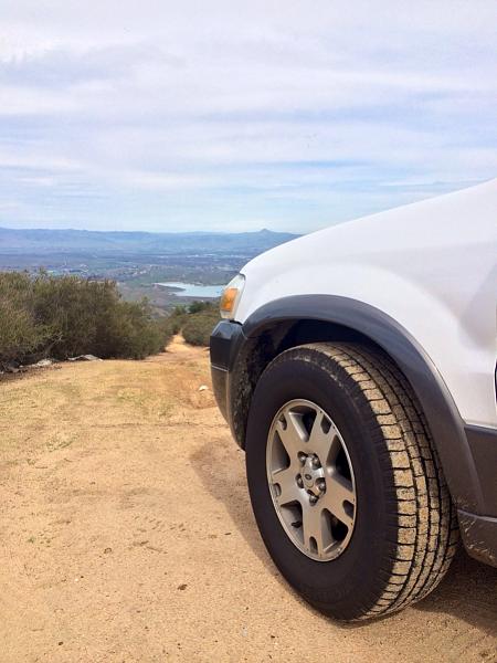 Huge Strange RANDOM Pictures and Idiocy Gallery!*-image-3144736122.jpg