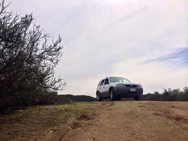 Huge Strange RANDOM Pictures and Idiocy Gallery!*-image-3449588183.jpg