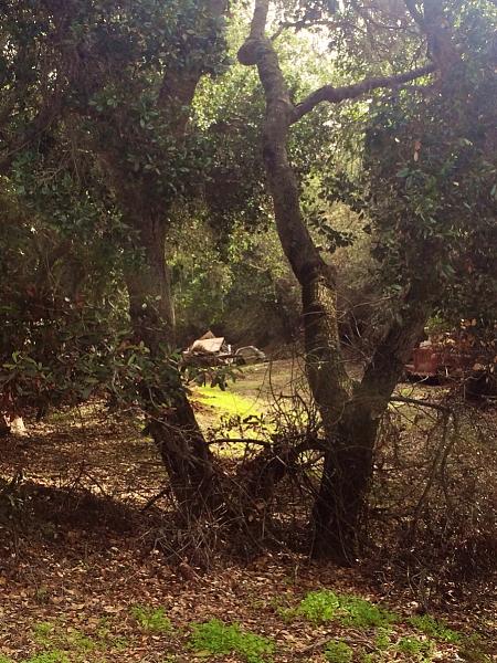 Huge Strange RANDOM Pictures and Idiocy Gallery!*-image-2153686453.jpg