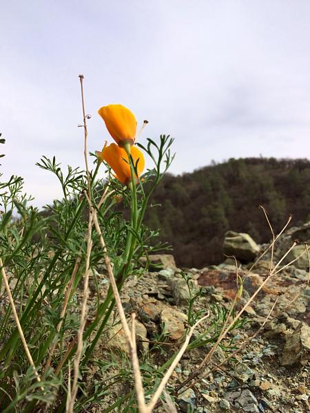 Huge Strange RANDOM Pictures and Idiocy Gallery!*-image-2869183776.jpg