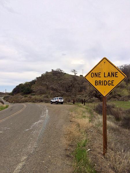 Huge Strange RANDOM Pictures and Idiocy Gallery!*-image-648897926.jpg