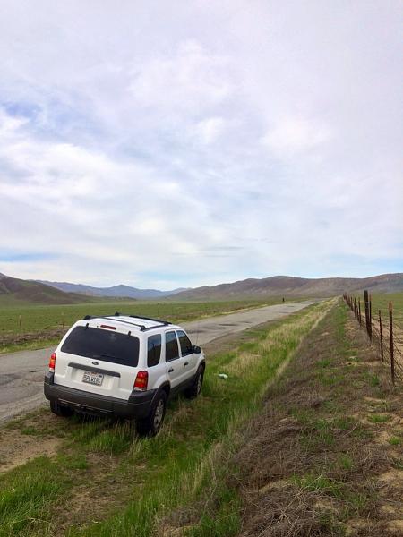 Huge Strange RANDOM Pictures and Idiocy Gallery!*-image-959484750.jpg