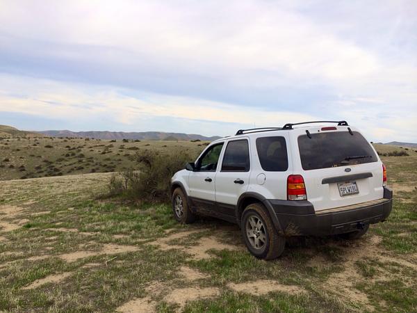 Huge Strange RANDOM Pictures and Idiocy Gallery!*-image-3917610945.jpg