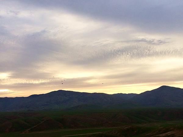 Huge Strange RANDOM Pictures and Idiocy Gallery!*-image-2709371188.jpg