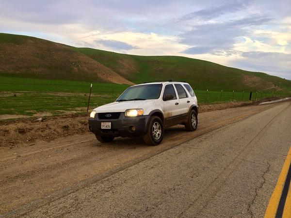 Huge Strange RANDOM Pictures and Idiocy Gallery!*-image-1416846314.jpg