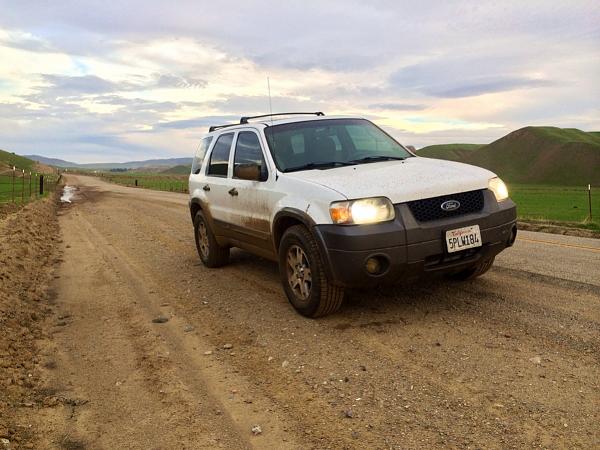 Huge Strange RANDOM Pictures and Idiocy Gallery!*-image-3506569522.jpg