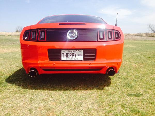 What Did You Name Your Mustang?-image-833949619.jpg
