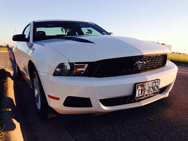 What Did You Name Your Mustang?-image-3857201317.jpg