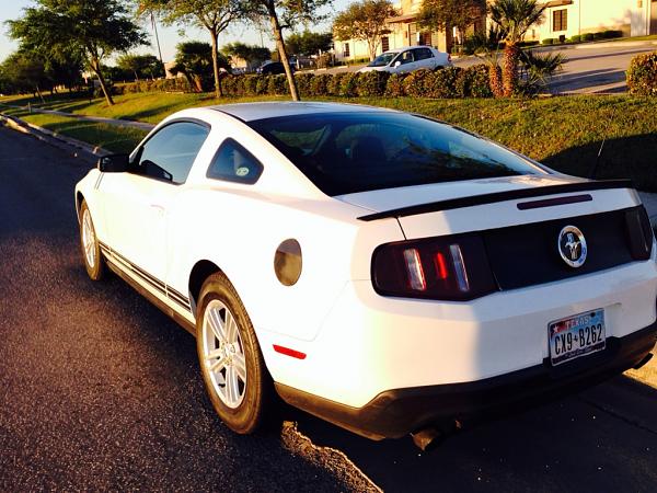 What Did You Name Your Mustang?-image-923336242.jpg