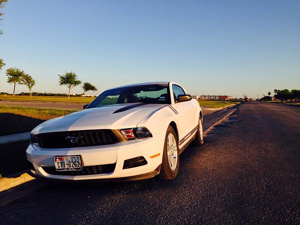 Any &amp; all mustang pictures-image-56641172.jpg