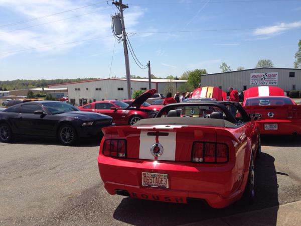 Any &amp; all mustang pictures-image-3106537098.jpg