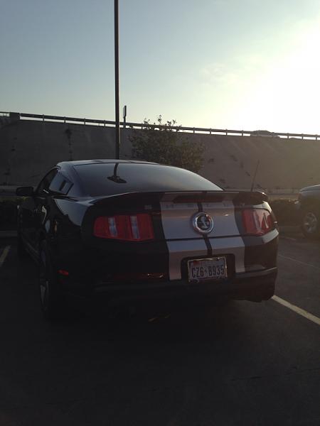 Any &amp; all mustang pictures-image-1705670620.jpg