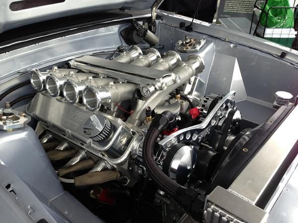 Huge Strange RANDOM Pictures and Idiocy Gallery!*-image-3109398340.jpg