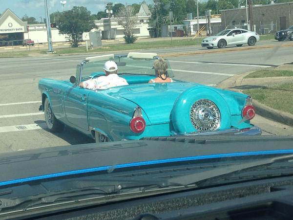 Huge Strange RANDOM Pictures and Idiocy Gallery!*-image-1771248364.jpg