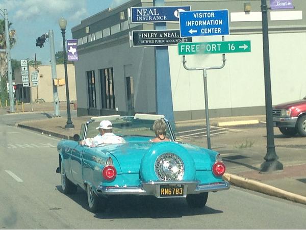 Huge Strange RANDOM Pictures and Idiocy Gallery!*-image-3781019202.jpg