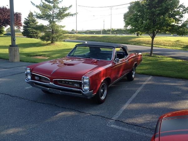 Huge Strange RANDOM Pictures and Idiocy Gallery!*-image-8347044.jpg