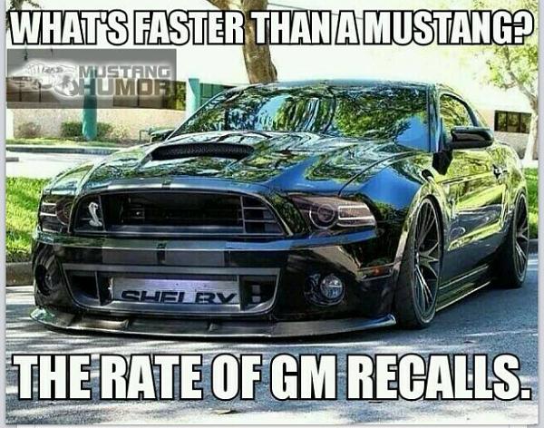 Huge Strange RANDOM Pictures and Idiocy Gallery!*-image-1000942100.jpg