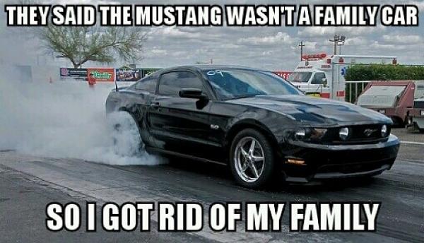 Huge Strange RANDOM Pictures and Idiocy Gallery!*-image-1100642613.jpg