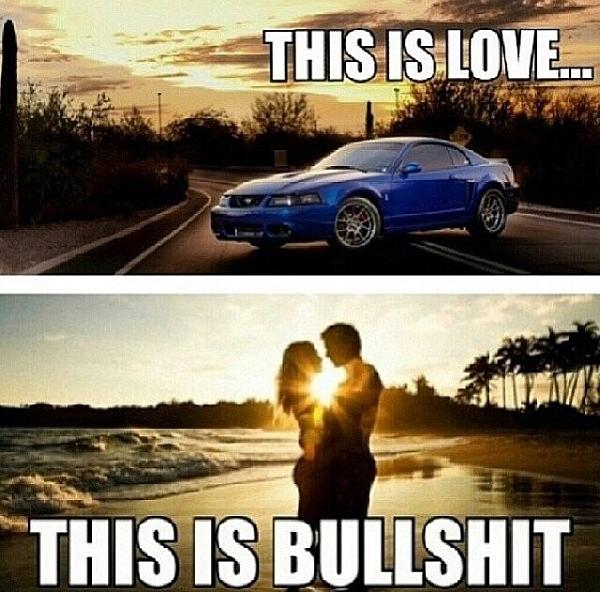 Huge Strange RANDOM Pictures and Idiocy Gallery!*-image-2643908562.jpg