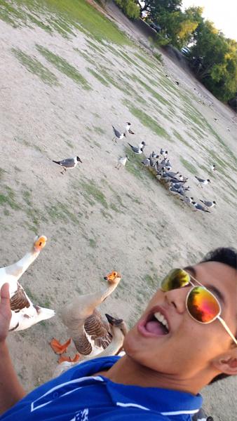 Huge Strange RANDOM Pictures and Idiocy Gallery!*-image-1808777291.jpg