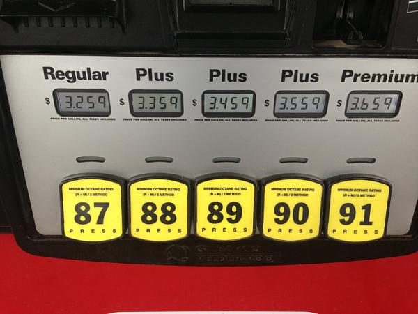 Huge Strange RANDOM Pictures and Idiocy Gallery!*-image-3338970558.jpg