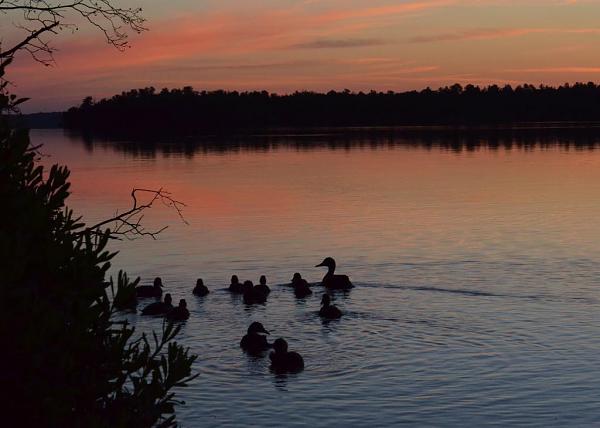 Members Random Picture Gallery Non Mustang Shots of Interest!-dsc_0966.jpg