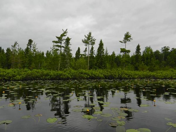 Members Random Picture Gallery Non Mustang Shots of Interest!-dscn9700.jpg