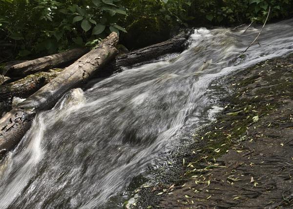 Members Random Picture Gallery Non Mustang Shots of Interest!-dsc_0267.jpg