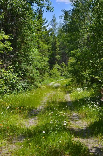 Members Random Picture Gallery Non Mustang Shots of Interest!-dsc_0248-1.jpg