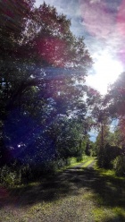 Name:  ForumRunner_20140714_181441.jpg
Views: 143
Size:  19.9 KB