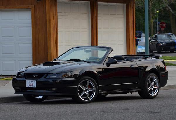 Members Random Picture Gallery Non Mustang Shots of Interest!-dsc_0303.jpg