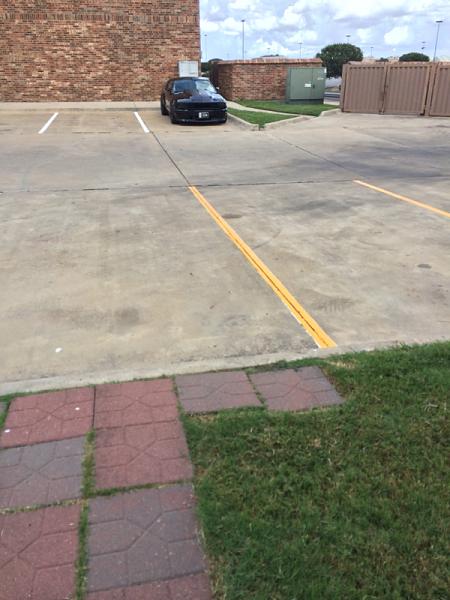 Huge Strange RANDOM Pictures and Idiocy Gallery!*-image-1069866838.jpg