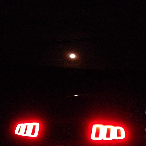 Huge Strange RANDOM Pictures and Idiocy Gallery!*-image-422851213.jpg