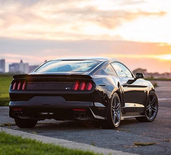 Huge Strange RANDOM Pictures and Idiocy Gallery!*-image-3304337555.jpg