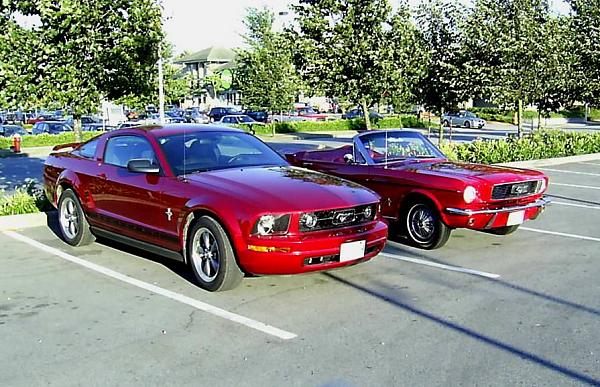 Any &amp; all mustang pictures-66-06-red-mustangs.jpg