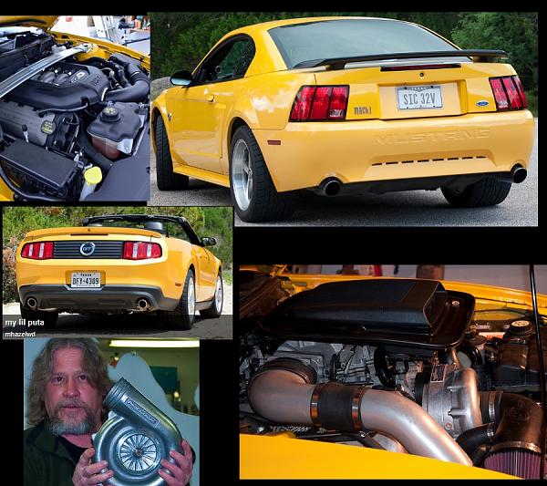 Any &amp; all mustang pictures-collage.jpg