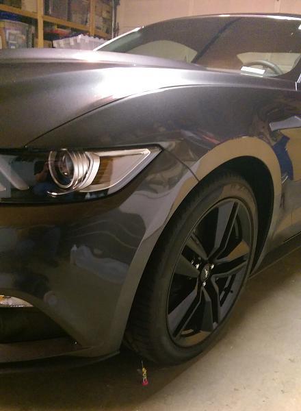Picture Game?-2015_mustang32.jpg