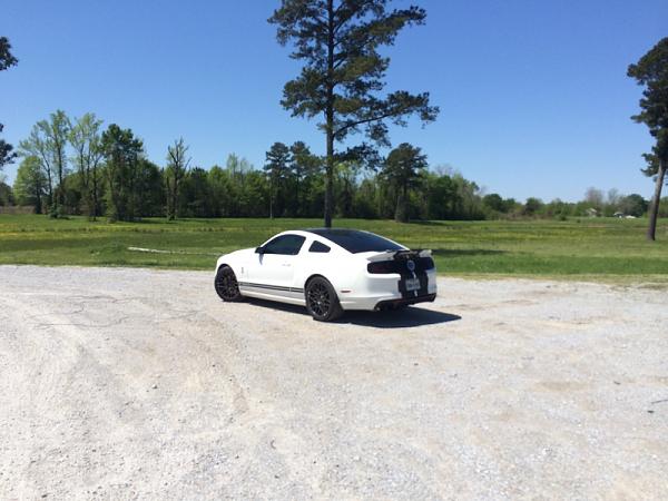 Huge Strange RANDOM Pictures and Idiocy Gallery!*-image-1983831724.jpg