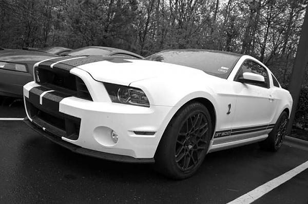 Huge Strange RANDOM Pictures and Idiocy Gallery!*-fb_img_1428436931683.jpg