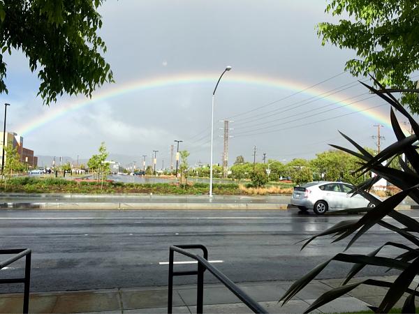 Huge Strange RANDOM Pictures and Idiocy Gallery!*-image-1792670618.jpg