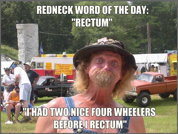 Huge Strange RANDOM Pictures and Idiocy Gallery!-rectum.jpg