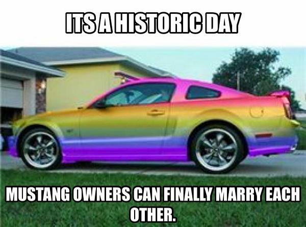 Huge Strange RANDOM Pictures and Idiocy Gallery!-gay-mustang.jpg