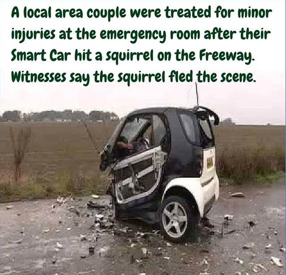 Name:  fled the scene.jpg
Views: 260
Size:  121.9 KB